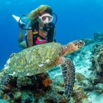 Gili Meno: Discover Scuba Diving for the first time - A Typical Day on the Tour