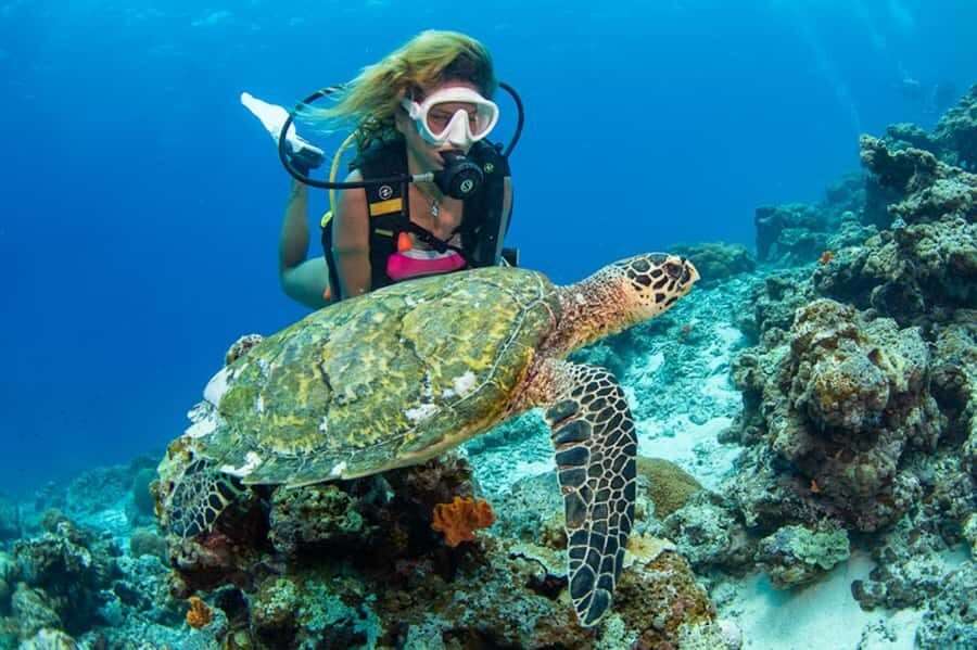 Gili Meno: Discover Scuba Diving for the first time - A Typical Day on the Tour