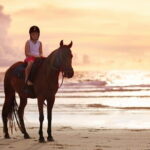 Gili Trawangan Beach Horseback Riding with Pickup Hotel - FAQ
