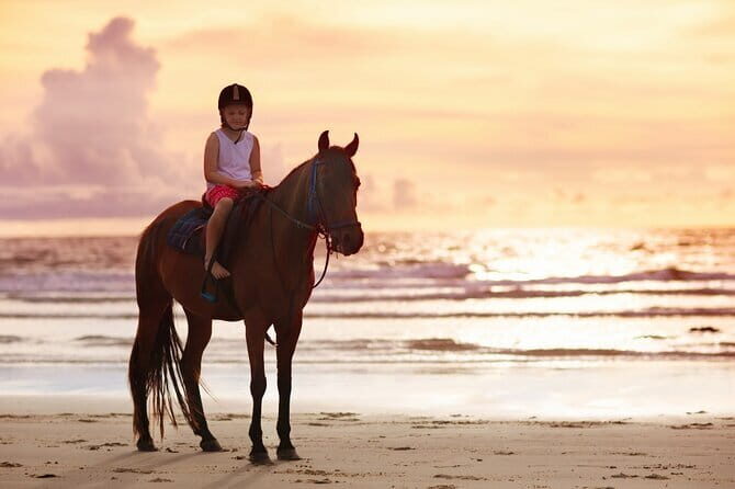 Gili Trawangan Beach Horseback Riding with Pickup Hotel - FAQ