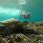 Gili Trawangan Best Snorkeling Trip With GOPRO documentation - Itinerary Breakdown: What to Expect