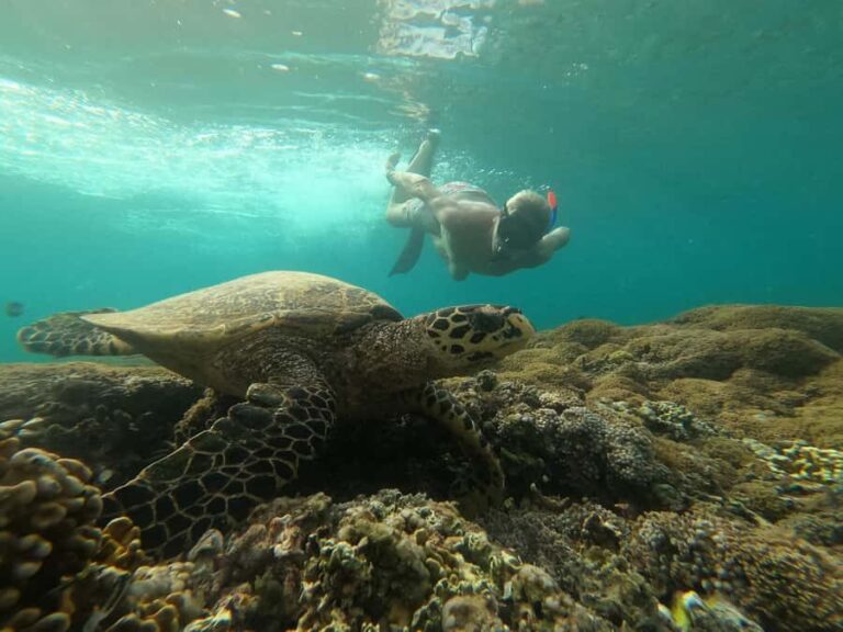 Gili Trawangan Best Snorkeling Trip With GOPRO documentation - Itinerary Breakdown: What to Expect
