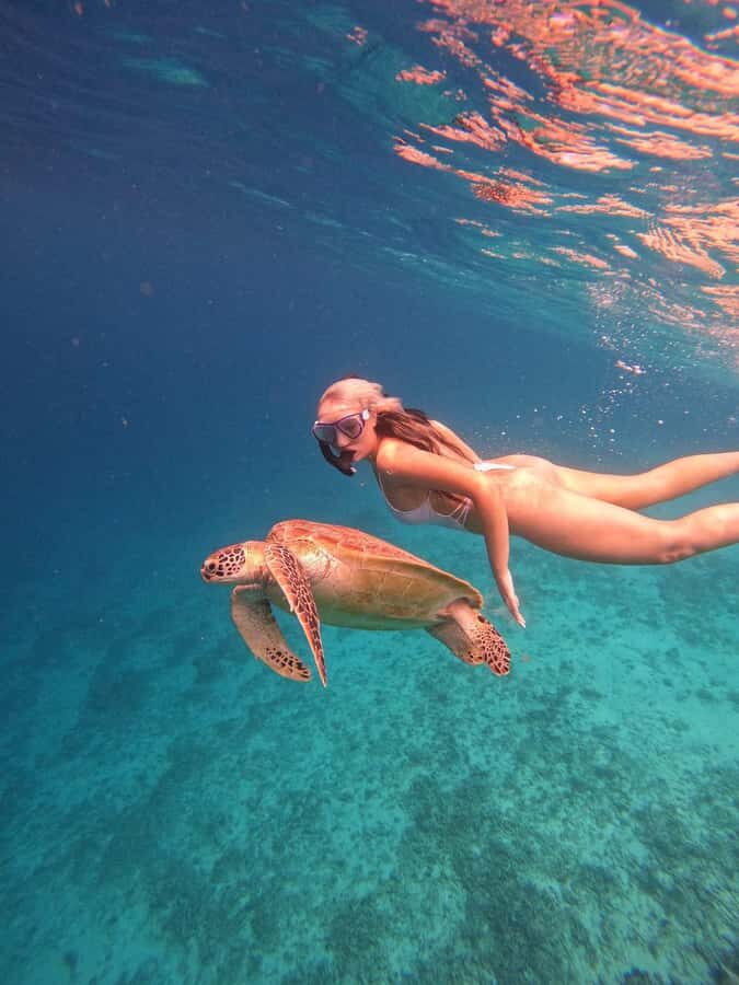 Gili Trawangan: Early Morning Turtle Snorkeling with GoPro - FAQ
