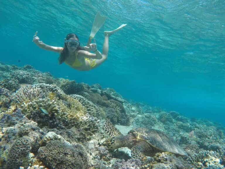 Gili Trawangan: Private Snorkeling Trip with GoPro Photos - The Value of a Short but Tailored Tour