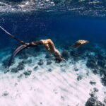 Gili Trawangan Snorkeling with Turtles & Underwater Statue - Underwater Sculptures: Art Meets Marine Habitat