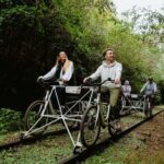 Gisborne: Railbike Tour with E-Bike Option - The Railbikes: What to Expect?