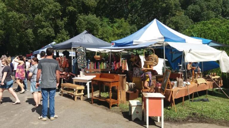 Glass House Mountains: Big Pineapple & Caloundra Markets - The Big Pineapple: A Quirky Aussie Icon