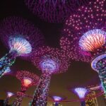 Glittering Singapore Night Tour: City Lights, Skyline & River - Why This Tour Delivers Value