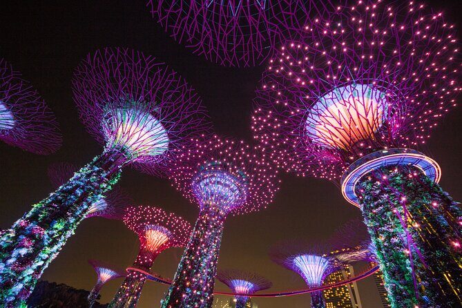 Glittering Singapore Night Tour: City Lights, Skyline & River - Why This Tour Delivers Value