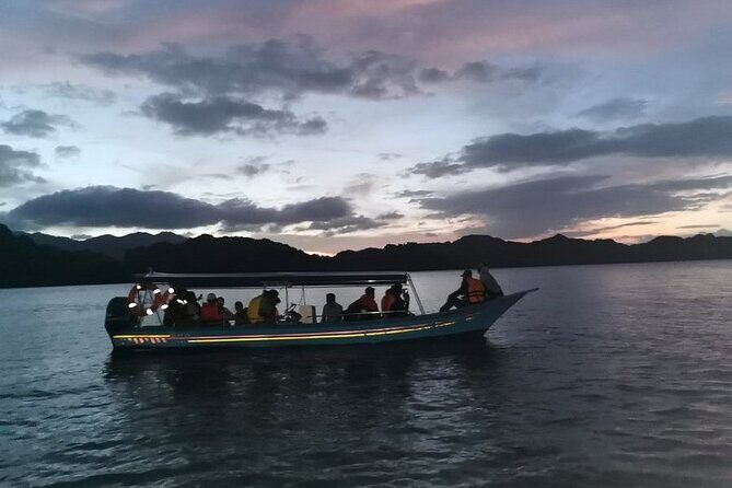 Glow-in-the-Dark Mangrove Adventure  Night Safari Plus Dinner - What Makes This Experience Truly Special?