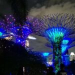Glow with the Flow: Singapore's Illuminated River Experience - Who Is This Tour Best For?