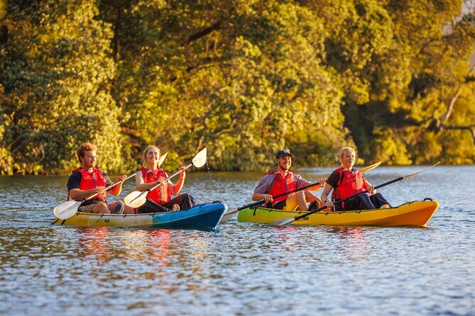 Glow Worm Adventure Kayak - Who Will Love This Tour?