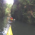 Glowworm Kayak Adventure on the Waikato River - The Experience & Value for Money