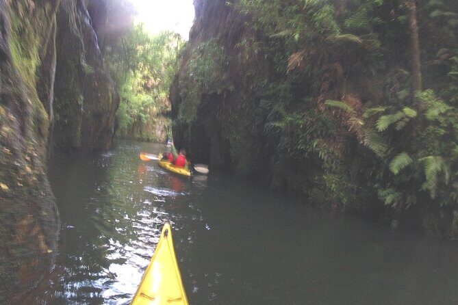 Glowworm Kayak Adventure on the Waikato River - The Experience & Value for Money