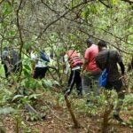 Goa: Forest and River Trail with local Breakfast and Lunch - The Experience: What to Expect