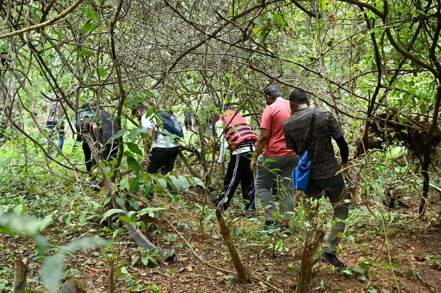 Goa: Forest and River Trail with local Breakfast and Lunch - The Experience: What to Expect