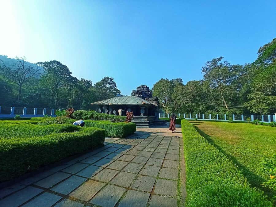 Goa: Harvalem Waterfall & Spice Plantation Tour - Discovering the Experience