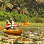 Goa Kayaking : Backwaters and Mangrove Kayaking Experience - Who Will Love This Experience?