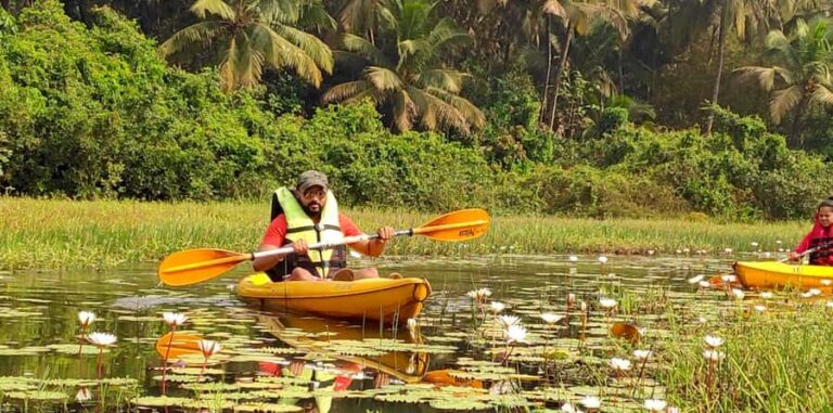 Goa Kayaking : Backwaters and Mangrove Kayaking Experience - Who Will Love This Experience?