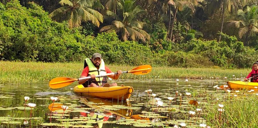 Goa Kayaking : Backwaters and Mangrove Kayaking Experience - Who Will Love This Experience?