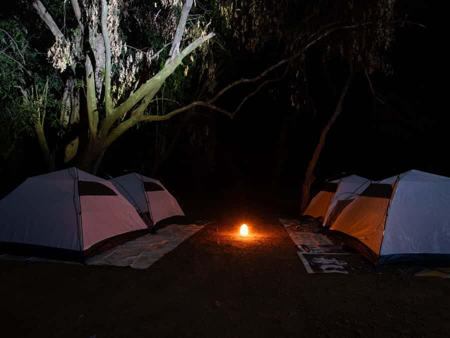 Goa :Overnight Camping, BBQ, Dinner, Night Trek, & Breakfast - The Journey Into the Western Ghats