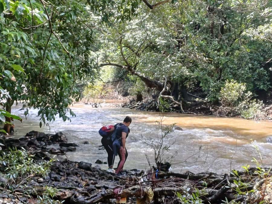 Goa: Relax by the Riverside Forest Day Out with Goan Cuisine - Why This Tour Stands Out