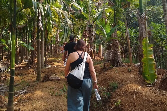 Goan Village Life Tour - Practical Details and Booking Insights