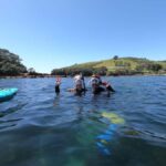 Goat Island Guided Snorkeling Tour for Beginners - Why This Tour Works