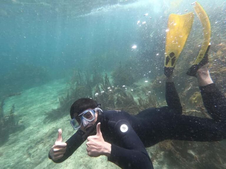 Goat Island Guided Snorkelling Tour For Advanced - The Marine Environment of Goat Island
