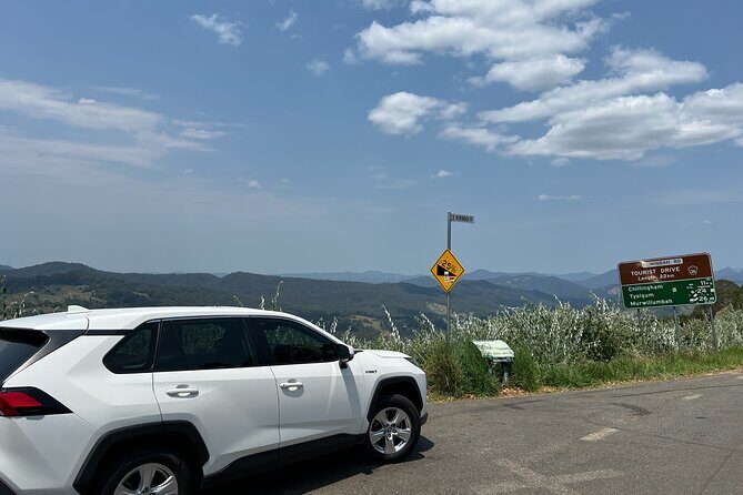 Gold Coast Fun Tour - Why Choose This Private Transfer?