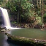 Gold Coast: Koalas, Glow Worms & Kangaroos Nature Experience - Glow Worms: The Star of the Show