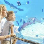 Gold Coast: Movie World, Sea World & Wet'n'Wild 7-Day Pass - Practical Details and Tips