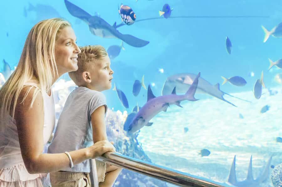 Gold Coast: Movie World, Sea World & Wet'n'Wild 7-Day Pass - Practical Details and Tips