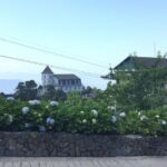 Golden Hand Bridge Afternoon and Evening Tour - Authentic Insights from Reviews