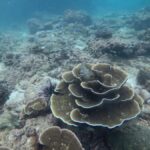 Golden Horizon of Krabi: 4 Islands & Phra Nang Sunset - Cultural Sunset at Phra Nang Cave