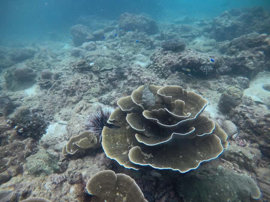 Golden Horizon of Krabi: 4 Islands & Phra Nang Sunset - Cultural Sunset at Phra Nang Cave