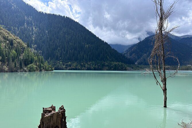 Golden Man, Issyk Lake & Trout Fishing Escape - Trout Fishing at the Farm: A Fresh, Local Experience