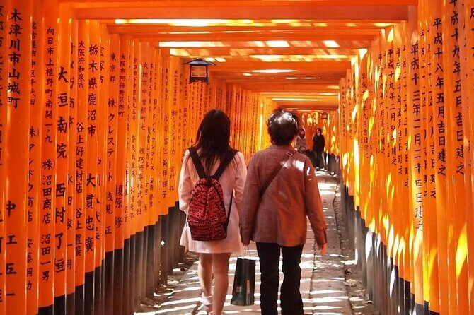 Golden Pavilion Kiyomizu Temple and Fushimi Inari Shrine Tour - Who Is This Tour Best For?
