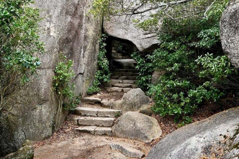 Golden Route to West Japan: 7-Day Cultural & Nature Tour - Day-by-Day Breakdown of the Itinerary