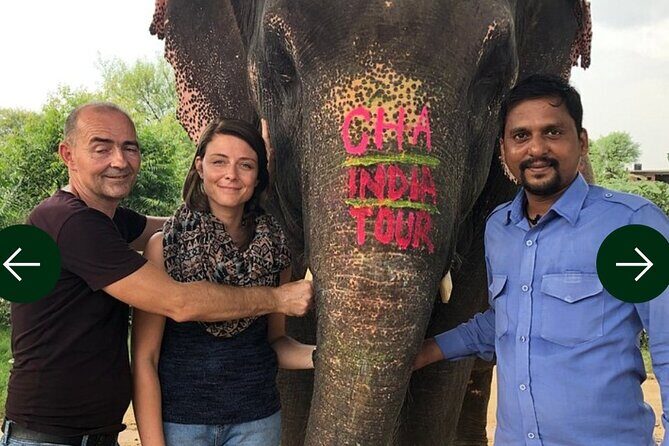 Golden Triangle Trip Delhi, Agra, Jaipur. Private driver and car. - The Practicalities: What You Need to Know