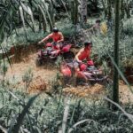 Gorilla Face Cave Jungle and Waterfall with ATV Quad Bike - The Route and Terrain