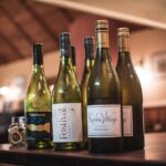 Gourmet Auckland Food Tour A Place at our Table - Who Will Love This Tour?