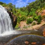 Grampians National Park Small-Group Eco Day Tour - Exploring Waterfalls and Scenic Trails