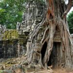 Grand Circuit Temple Tour(Preah Khan, Neak Pean,Ta Som &Pre Rup ) - Authentic Experiences and Insights from Reviews