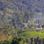 Grand Trek: 20-Day Guided Pekoe Trail with Hotels &Transfers - Practical Details and What’s Included