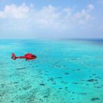Great Barrier Reef 30-Minute Scenic Helicopter Tour from Cairns - Why You’ll Love This Experience