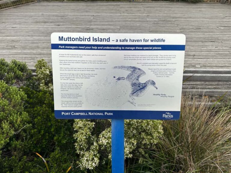 Great Ocean Road reverse Sunrise Tour - Key Points