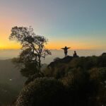 Green Magic One Night Two Days Trip to Munnar - What’s Included and What’s Not