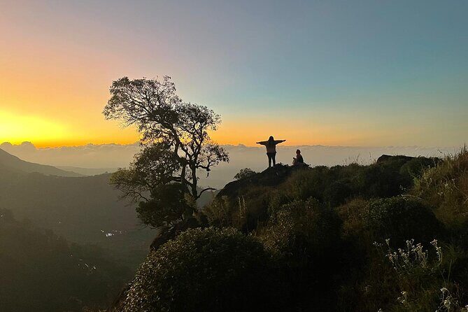 Green Magic One Night Two Days Trip to Munnar - What’s Included and What’s Not