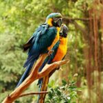 Guangzhou Chimelong Safari Park Private Guided Tour - The Sum Up